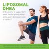 DAVINCI Labs Liposomal DHEA - Liquid Dietary Supplement to Support Immune System