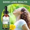 2*60ml Mullein Drops for Lungs, Detox and Cleanse Mullein Extract Supplement