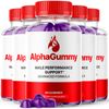 AlphaGummy for Men Advanced Energy & Performance Vitamin Supplement 300 Gummies