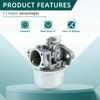 Carburetor Engine Replacement Part Fits For 591925 698475