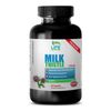 milk thistle extract - Milk Thistle Extract 175mg 1B - increase antioxidants