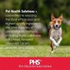 BONIES Hip & Joint Health Multi-Pack LARGE (5 Bones / 11.15 oz)