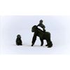 Schleich 42601 Wildlife Gorilla Parent and Child