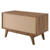 Modway Render Wood & Vinyl Record Display Stand with Sliding Door in Walnut