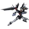 Bandai Tamashii Nations Robot Spirits Strike Noir Figure