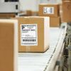 220 Shipping Labels Half Sheet 8.5 x 5.5 Blank Self Adhesive 2 Labels Per Sheet