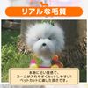 nijimomo Trimming Poodle Model Mannequin Trimmer Practice Base Cut (Brown)