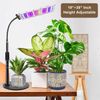 Full Spectrum Desk Growth Lamp Automatic Timer LED Plant Growing Adjustable