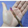 Rainbow Prism Oak Magic Wand