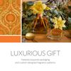 AGRARIA Petite Diffuser Duo, Bitter Orange