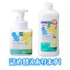 Medicated Foam Hand Soap, 8.5 fl oz (250 ml)