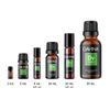 Refresh (Cleansing) Essential Oil Blend 10ml by Davina Wellness
