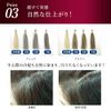 Delmed Gray Hair Dyed Hair Color Color Treatment 200g (Brown)