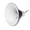 Swell Reptiles Reflector Lamps (Medium)