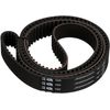 Gates T323 Premium Automotive Timing Belt