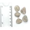 White (Silver) Aventurine Crystal Tumbled Stones - 5 Pc