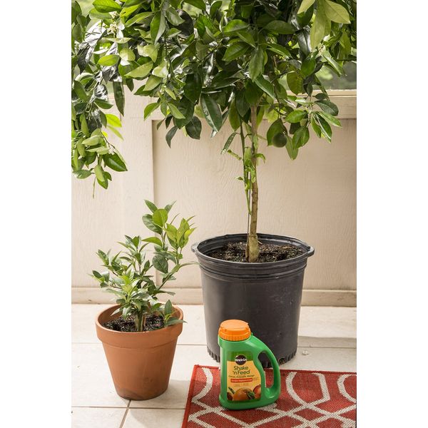 Miracle-Gro Shake 'N Feed Citrus, Avocado, Mango Plant Food