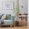 6.5’ Artificial Citrus Minimalist Tree Home Decor. Retail $248