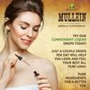 Mullein Leaf Extract 4oz - Organic Verbascum Thapsus Liquid
