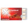 Xylitol Gum, Cinnamon, 12 Pieces