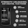 Micronized Creatine Monohydrate Powder, Muscle Recovery, Caffeine Free, Creat...