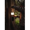 Stansport Wire Mesh Lantern Globe For #170 (167-100)