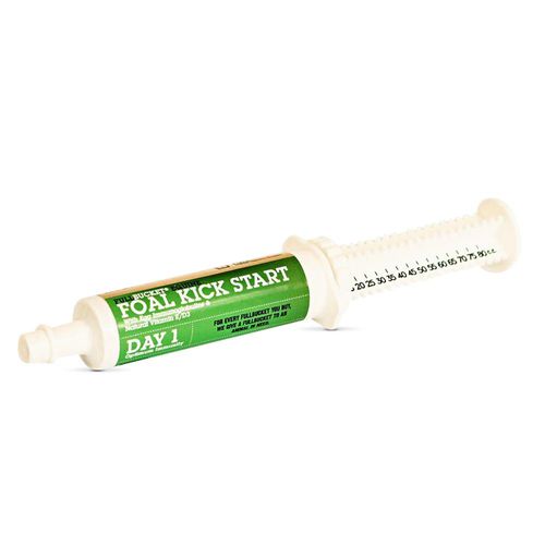 FullBucket Equine Foal Kickstart Paste – Ideal for Newborn Foals on Day 1 to Support Healthy Immune & Digestive System Health, 1 Tube