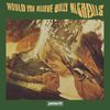 Would You Believe [VINYL]