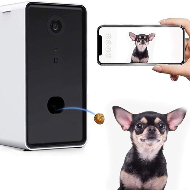 Dog monitor and treat dispenser store