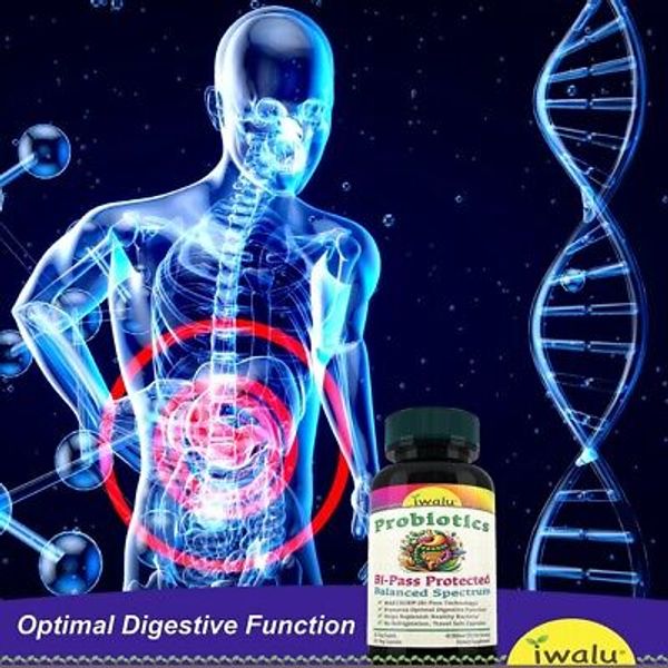 Probiótico Y Prebiótico – Combinación Poderosa Para Tu Salud Intestinal Cápsulas