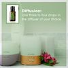 doTERRA - Cilantro Essential Oil - 15 mL