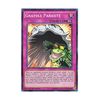 Yu-Gi-Oh! DOCS-EN074 Graydle Parasite Graidle Parasite (Super Rare) 1st Edition