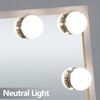 Hollywood Table Top Makeup Mirror Vanity Mirror with 12 LED Dimmable Bulb