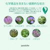 Para'kito Insect Repellent Clips, Camouflage (15-day use pellets, Pack of 2)