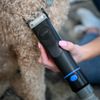 furMe Original Pet Grooming Vacuum Kit