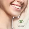 Sudden Change Green Tea Facial Mask 3.4oz (3 Pack)
