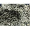 Marshmallow Leaf Herb Natural Dried Botanical - 3 oz.'s  
