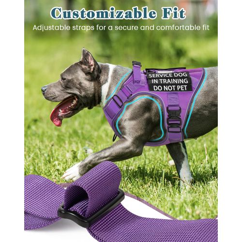 Reflective Purple Service Dog in Training Vest Harness for Medium Dogs, Adjustable Heavy Duty Padded Dog Harness, with Front Clip and Metal Buckles Do Not Pet for Training, Hiking