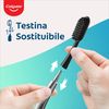 Colgate Keep Slim Soft Charcoal Bristles Starter Pack | Replaceable 2X Brush Head | Reusable Metal Handle
