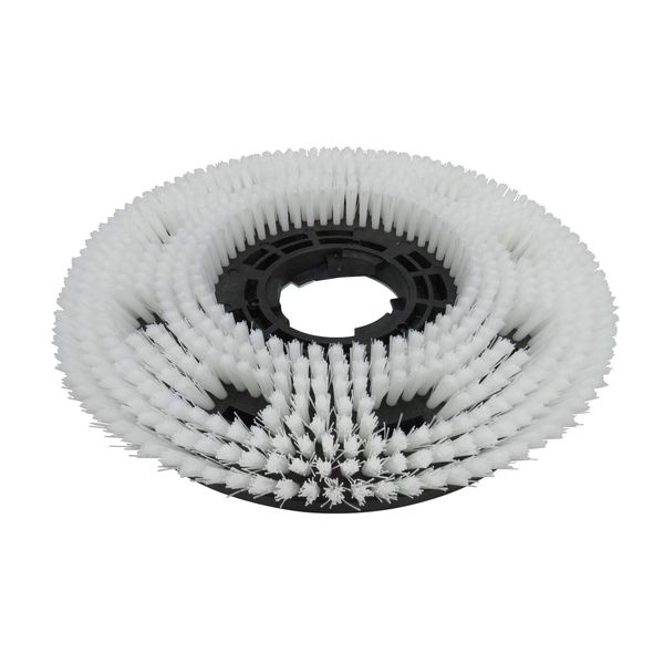 Schrubbbürste für Cleanfix R 43-180 Bürste hart Tellerbürste Scheuerbürste