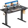 Black 48“x24” Modern Height Adjustable Electric Standing Desk Home Office Table