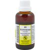 Echinacea K Complex No. 65 Dilution