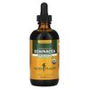 Echinacea, Alcohol-Free, 814 mg, 4 fl oz (120 ml)