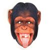 Party Maske - Party Mask Chimpanzee