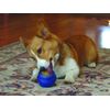 Starmark Everlasting Treat Ball Toy, Blue, Small