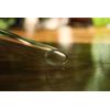 Funnel, 15 cm Diameter (Pack of 2)