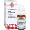 Arundo mauritanica C6 DHU Globuli, 10 g Globuli