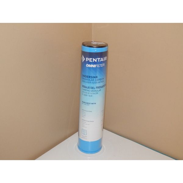 Genuine Pentair OmniFilter GAC1 Undersink Carbon Water Filter 20 Micron GAC