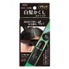 Gray Hair Stick Black