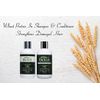 Tea Tree Oil Shampoo and Conditioner 